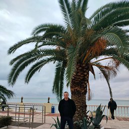 ������, 42 ����, ���������