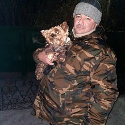 �������, ������, 52 ����