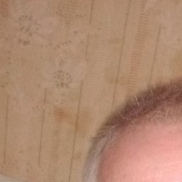 ���, ������, 54 ����