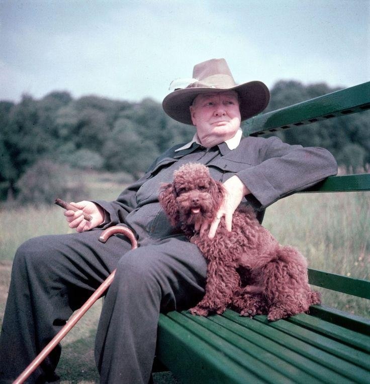      ,1946