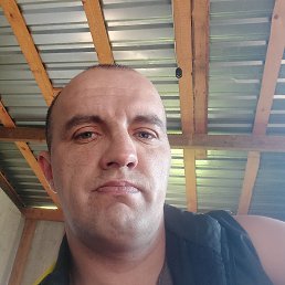 , 37, 