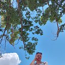 ���� ������, �����������, 55 ��� - ��������� 24 ���� 2024 � ������ �������