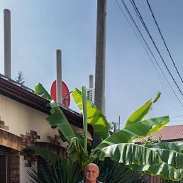 , 50, 