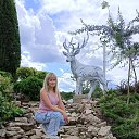 ���� ����, ������, 33 ���� - ��������� 24 �������� 2025 � ������ ���� ����������