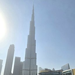 �������, ����������, 41 ���