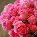 ���� �������, �����������, 44 ���� - ��������� 16 ������� 2024 � ������ ���� ����������