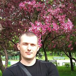 , 43, 