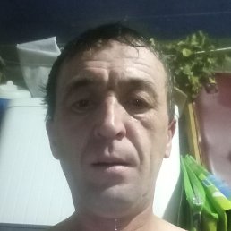 , , 42 