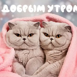 ���� ������, ������, 47 ��� - ��������� 28 ������� 2024