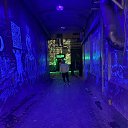 ���� ����, ������, 44 ���� - ��������� 10 ����� 2026 � ������ ���� ����������