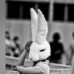 �����, ������, 38 ���