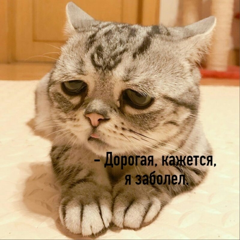 ��� ���� � ����� �� �� - 15 ������� 2025 � 17:03