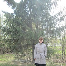 �, ������������, 61 ���