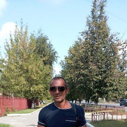 , 55, 