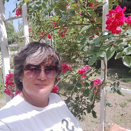, 53, 