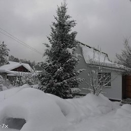 ����� ���������, ������, 42 ����