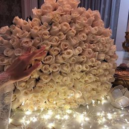 Olga, ��������, 26 ���