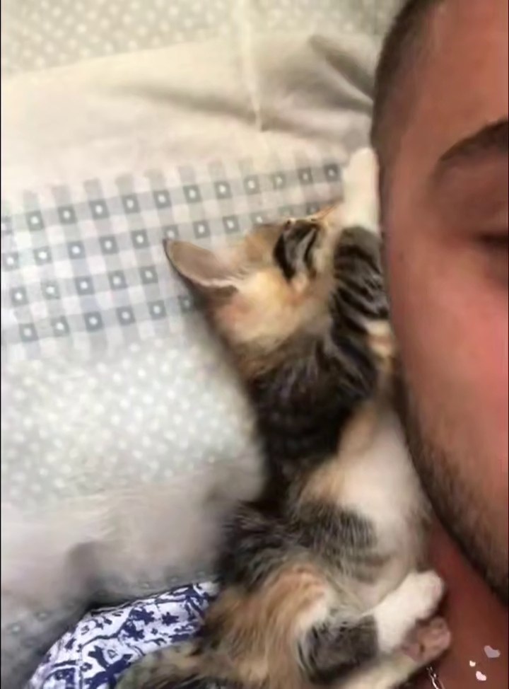 ���� � �������