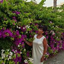 ���� �����, ����� - ��������� 23 ������ 2026 � ������ ���� ����������