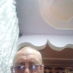 , 61, 