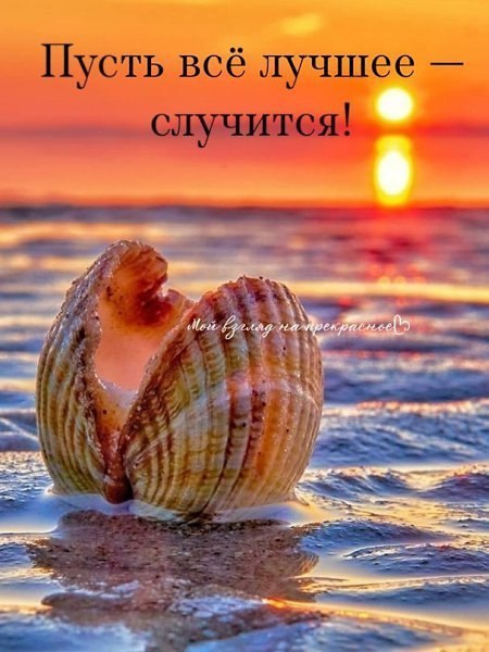  - 23  2025  15:50