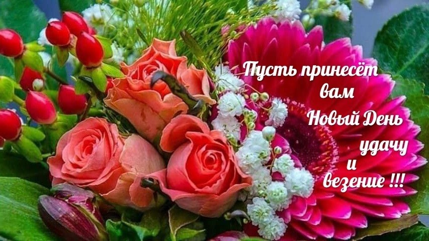 ПРИВЕТСТВИЯ и ПОЖЕЛАНИЯ, открытки на каждый день. - 24 октября 2025 в 00:02