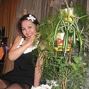  (), , 55  -  8  2025    