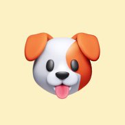 �����, 41 ���, ���������