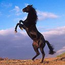 ���� Davron, ������-��-����, 42 ���� - ��������� 21 ������ 2026