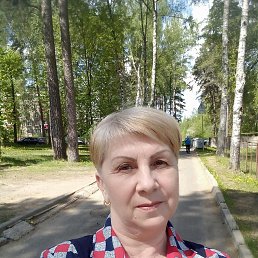 , 59, 