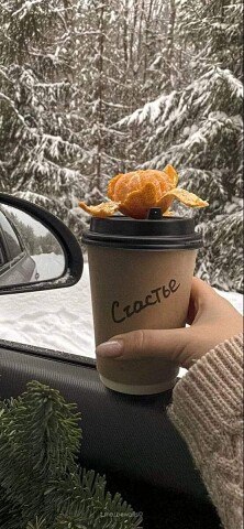 ���� ���, ������, 39 ��� - ��������� 27 ������� 2023