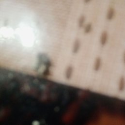 �������, �����, 34 ����