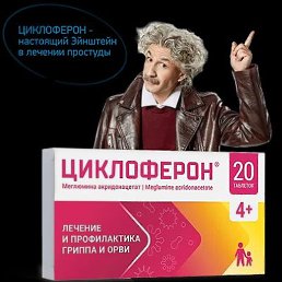 ����, �������, 40 ���