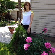 �����, 41 ���, �������