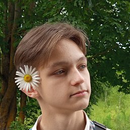 , 17, 