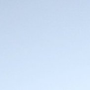 �������, 63 ����, �����-���������