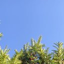 ���� ������, ������, 60 ��� - ��������� 28 ������ 2023 � ������ ������ ��������