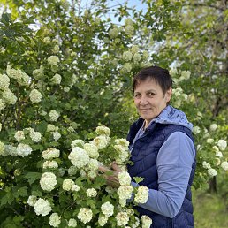 ���� ���������, ��������, 59 ��� - ��������� 6 ����� 2026