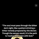 ���� Herdi, �����������, 41 ��� - ��������� 4 ������� 2025 � ������ ������ ��������