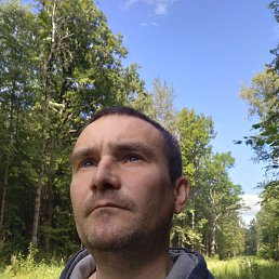 ���� ������, �����������, 42 ���� - ��������� 25 ������ 2026