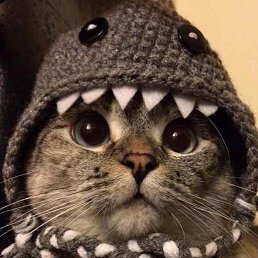 ���� ������, ������, 56 ��� - ��������� 6 ������� 2025