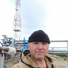 , 53, 