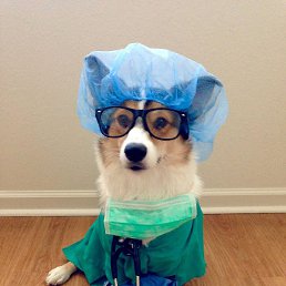 Bessonya, �����, 23 ����