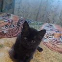 ���� ����, ���������, 48 ��� - ��������� 14 ����� 2026