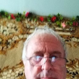 ���� ������, ������, 66 ��� - ��������� 18 ������ 2023