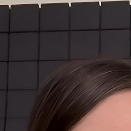 ����, ����������, 28 ���