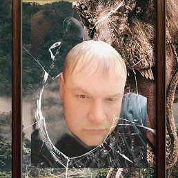 ��������, 41 ���, ������