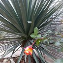 ���� ��������, ������, 67 ��� - ��������� 12 ������ 2025 � ������ ���� ����������