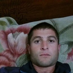 , 33, 