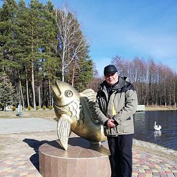 �����, �����, 62 ����